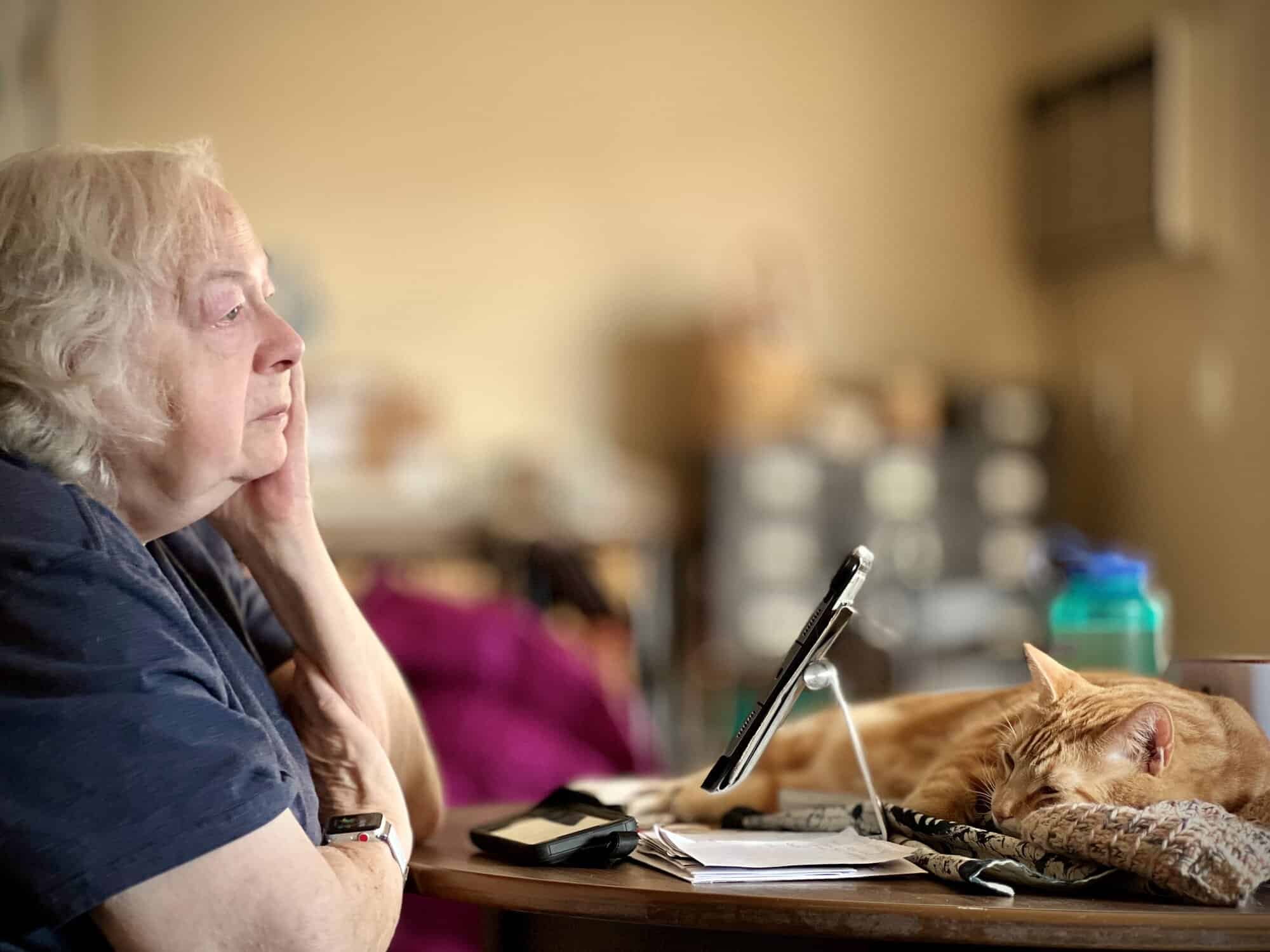 Susan Robbins sitting at a table looking into the distance, with an orange cat across the table from her