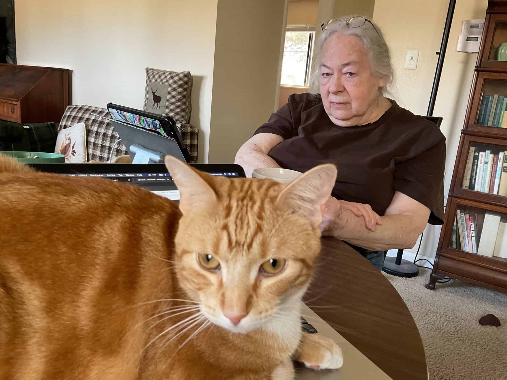 Susan watching Butters, who is sitting on her table in front of her