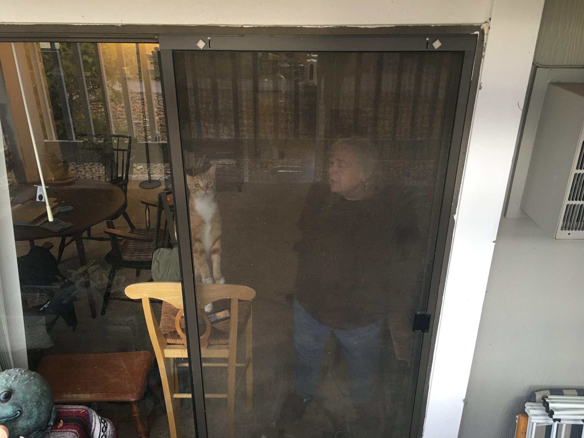 Susan and Butters behind her sliding door watching me take their photo