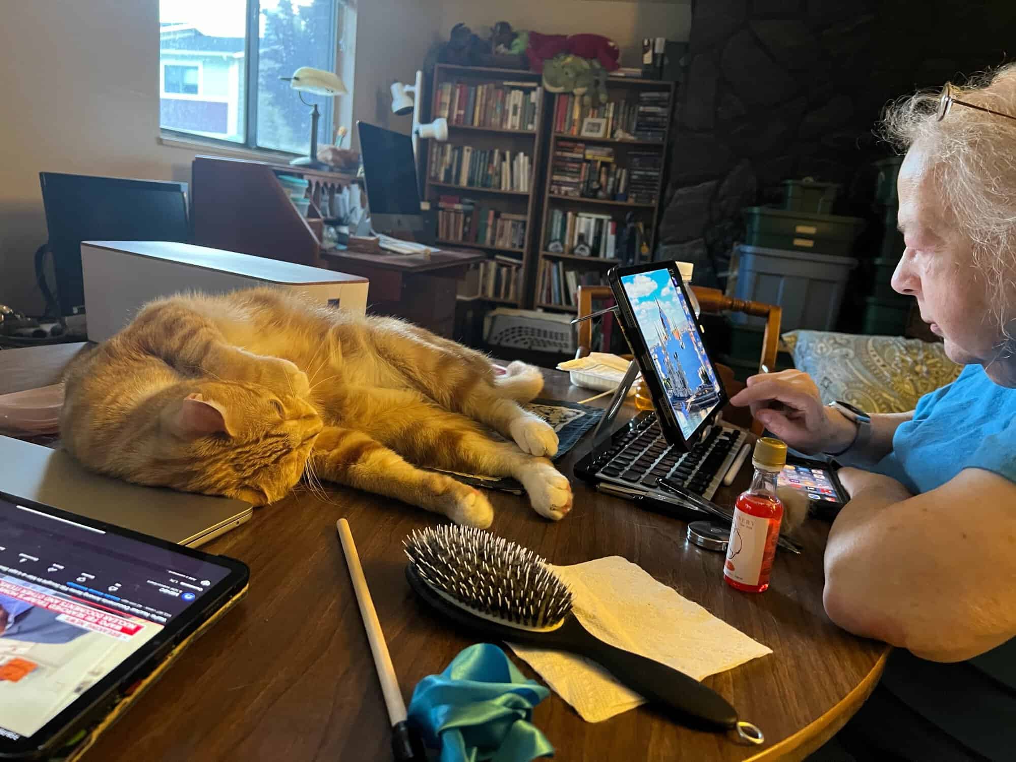 Susan looking at Butters, who is lying behind her tablet on the table in front of her