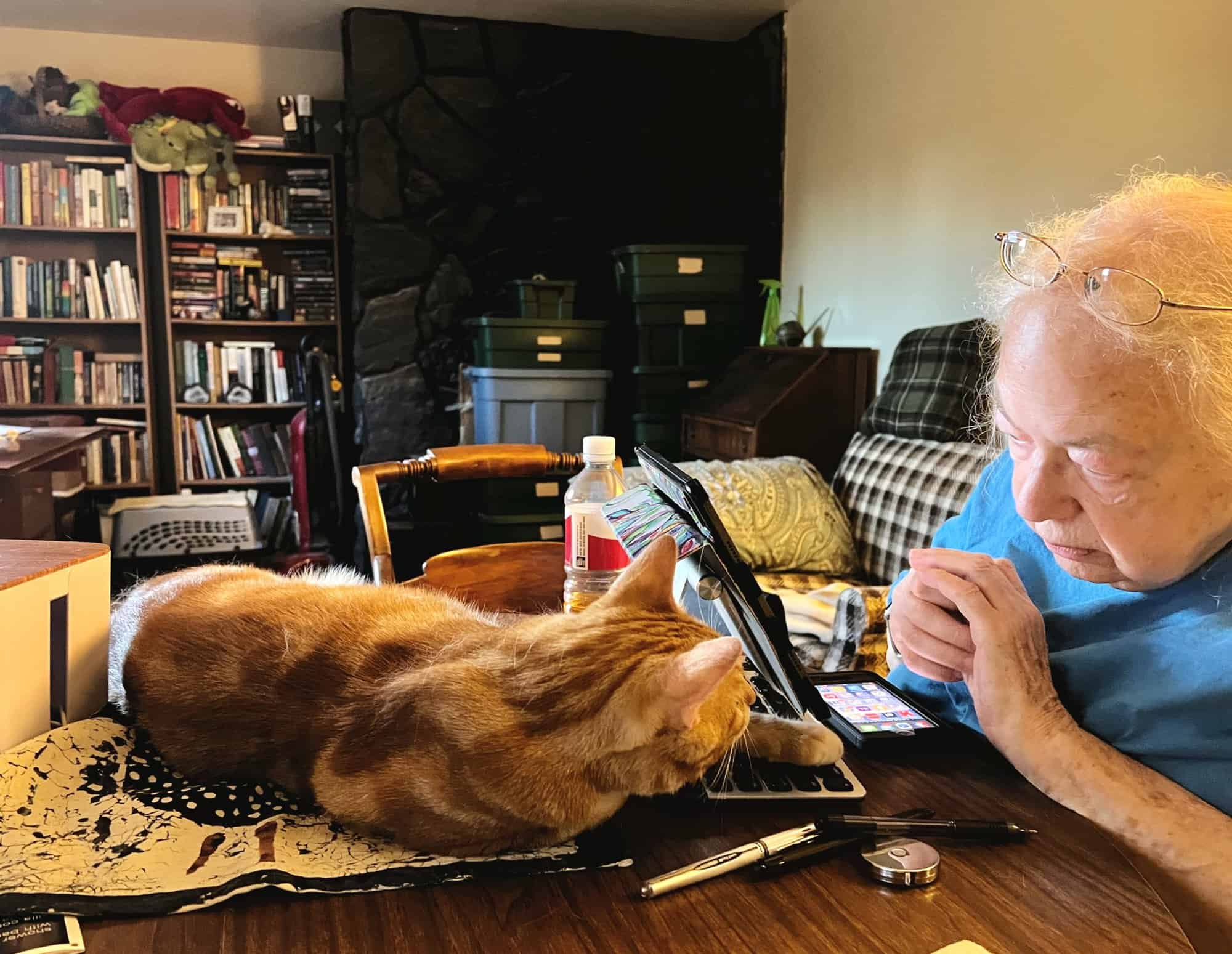 Susan looking at Butters, who is lying behind her tablet on the table in front of her