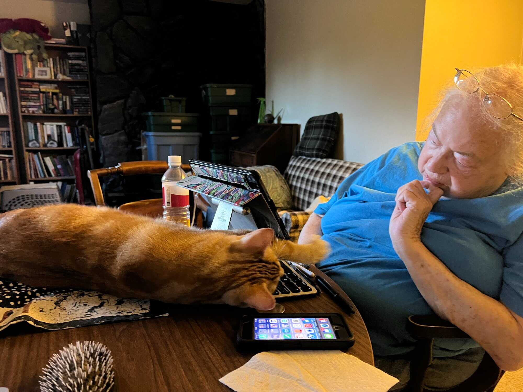 Susan looking at Butters, who is lying behind her tablet on the table in front of her