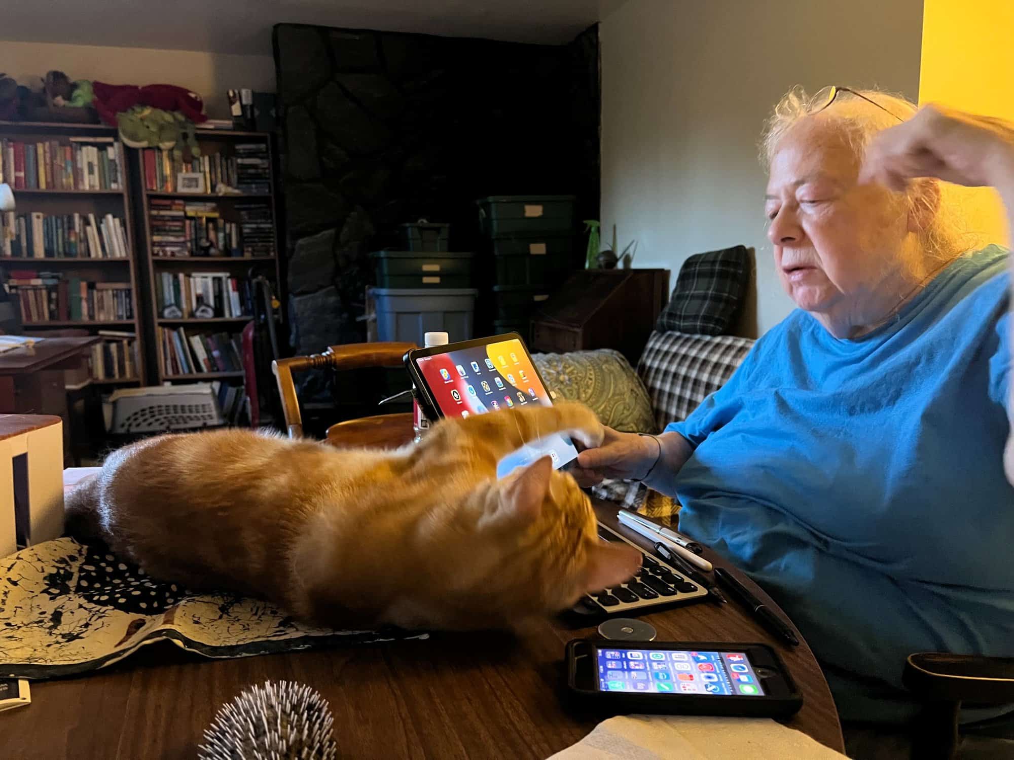 Susan looking at Butters, who is lying behind her tablet on the table in front of her