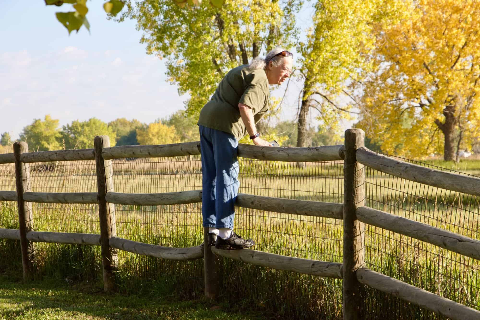 Susan standing on a fence rail looking over the fence